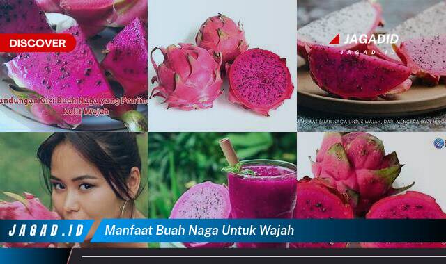 Inilah 9 Manfaat Buah Naga untuk Wajah yang Wajib Kamu Ketahui