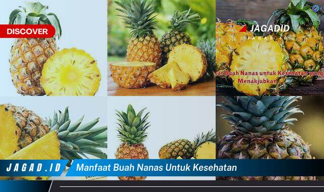 8 Manfaat Buah Nanas untuk Kesehatan yang Bikin Kamu Penasaran