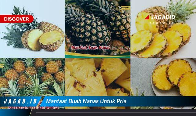 10 Manfaat Buah Nanas untuk Pria yang Wajib Kamu Intip