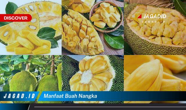 Inilah 10 Manfaat Buah Nangka yang Wajib Kamu Ketahui