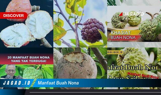 Inilah 8 Manfaat Buah Nona yang Bikin Kamu Penasaran