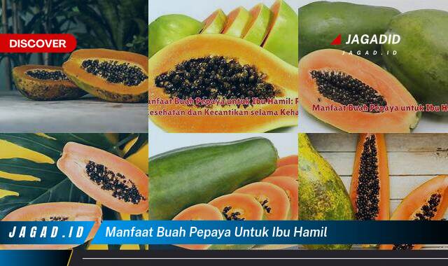 9 Manfaat Buah Pepaya untuk Ibu Hamil yang Tidak Semua Orang Tau