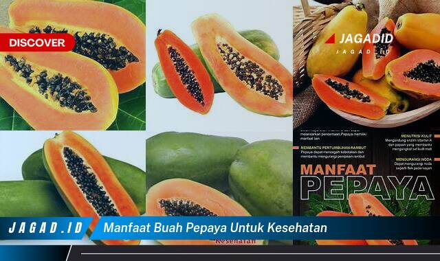 Ketahui 9 Manfaat Buah Pepaya untuk Kesehatan yang Tak Disangka