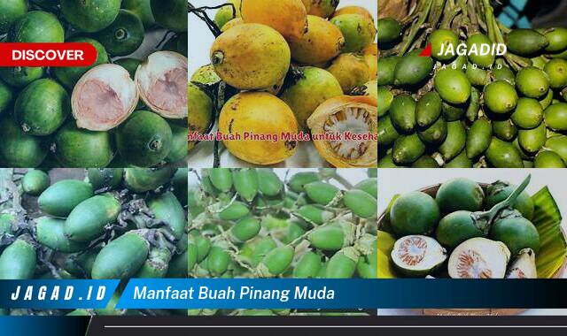 Ketahui 7 Manfaat Buah Pinang Muda yang Bikin Kamu Penasaran