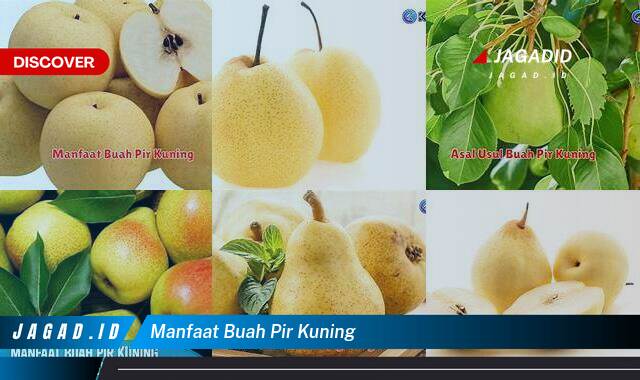 Inilah 9 Manfaat Buah Pir Kuning yang Bikin Kamu Penasaran