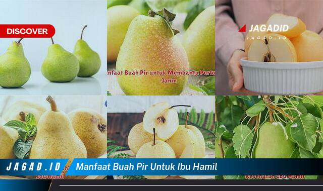 9 Manfaat Buah Pir untuk Ibu Hamil yang Wajib Kamu Intip