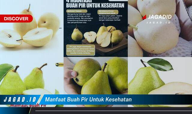 Inilah 10 Manfaat Buah Pir untuk Kesehatan yang Wajib Kamu Intip