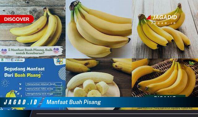 Ketahui 8 Manfaat Buah Pisang yang Tak Banyak Orang Tau