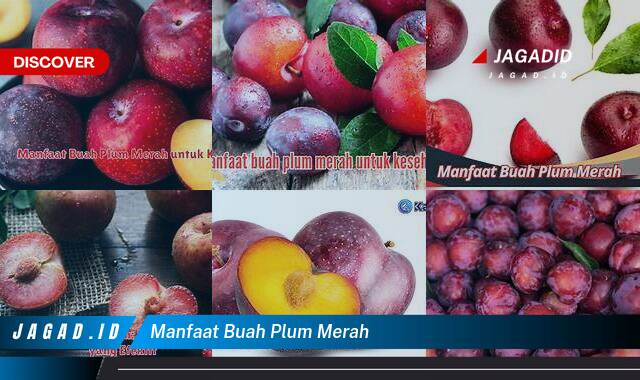 9 Manfaat Buah Plum Merah yang Tidak Semua Orang Tau