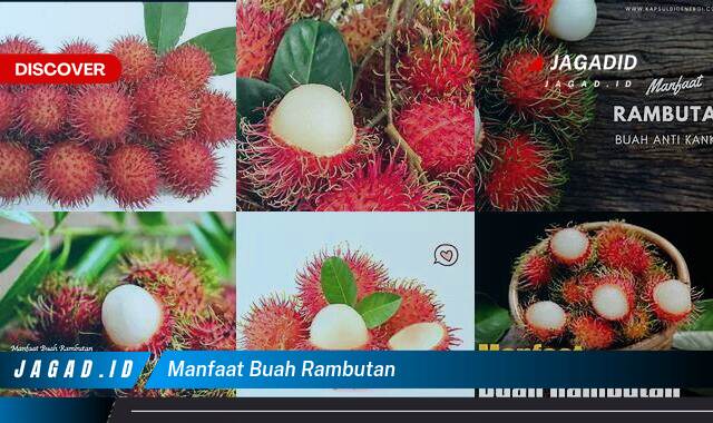 Ketahui 9 Manfaat Buah Rambutan yang Tak Banyak Orang Tahu