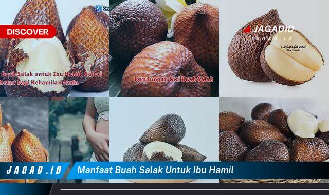 10 Manfaat Buah Salak untuk Ibu Hamil yang Wajib Kamu Ketahui