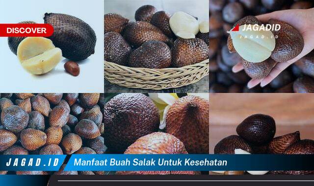 Inilah 9 Manfaat Buah Salak untuk Kesehatan yang Bikin Kamu Penasaran