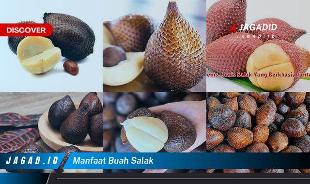 Ketahui 9 Manfaat Buah Salak yang Tak Disangka