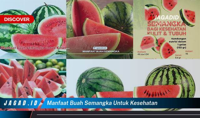 10 Manfaat Buah Semangka untuk Kesehatan yang Tidak Semua Orang Tau