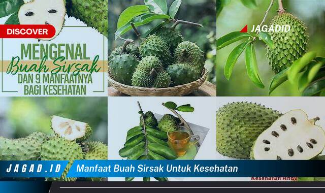 9 Manfaat Buah Sirsak untuk Kesehatan yang Bikin Kamu Penasaran