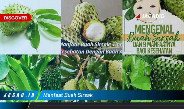 Ketahui 10 Manfaat Buah Sirsak yang Wajib Kamu Intip