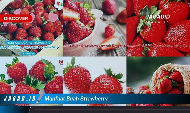 Ketahui 10 Manfaat Buah Strawberry yang Wajib Kamu Intip