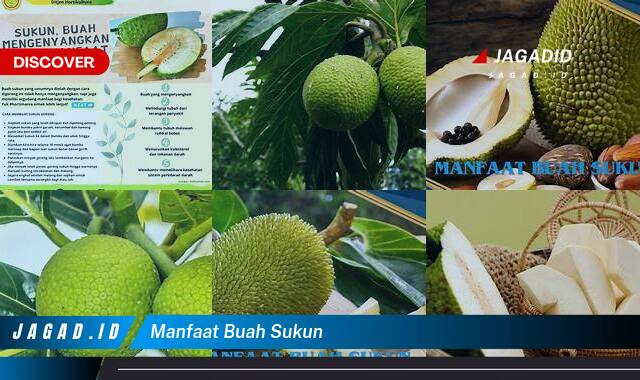 10 Manfaat Buah Sukun yang Tak Banyak Orang Tahu