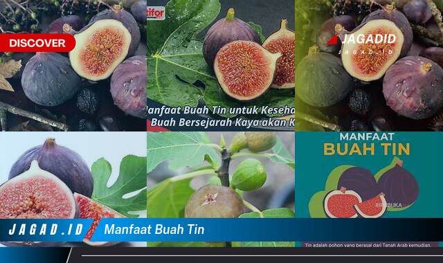 Ketahui 9 Manfaat Buah Tin yang Tak Banyak Orang Tahu