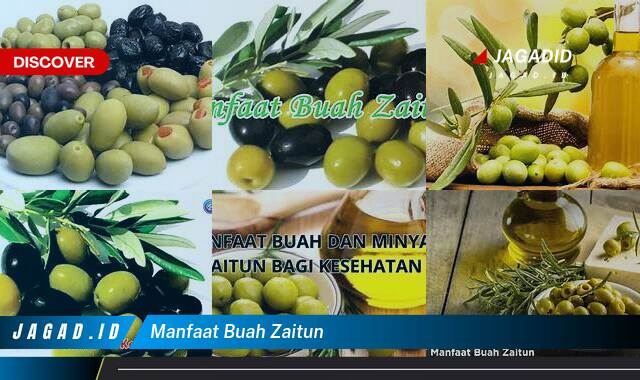 Ketahui 9 Manfaat Buah Zaitun yang Bikin Kamu Penasaran