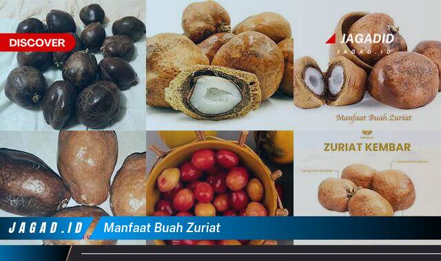 Ketahui 9 Manfaat Buah Zuriat yang Wajib Kamu Intip