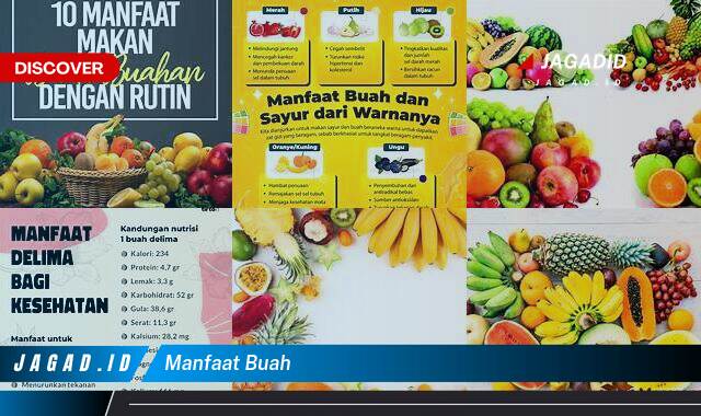 Inilah 9 Manfaat Buah yang Wajib Kamu Ketahui