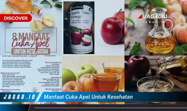 Inilah 9 Manfaat Cuka Apel untuk Kesehatan yang Tidak Semua Orang Tau