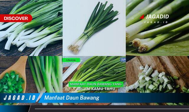 Inilah 10 Manfaat Daun Bawang yang Bikin Kamu Penasaran