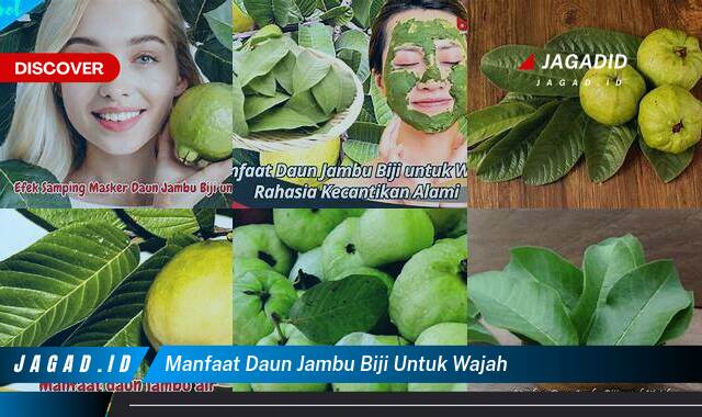 9 Manfaat Daun Jambu Biji untuk Wajah yang Tidak Semua Orang Tau