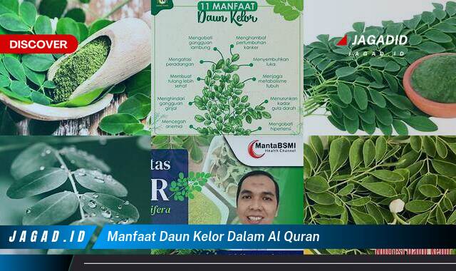 10 Manfaat Daun Kelor dalam Al Quran yang Tak Disangka