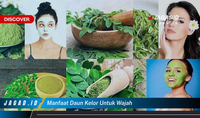 Ketahui 8 Manfaat Daun Kelor untuk Wajah yang Bikin Kamu Penasaran