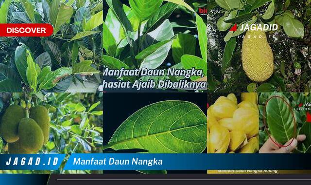 Inilah 10 Manfaat Daun Nangka yang Bikin Kamu Penasaran