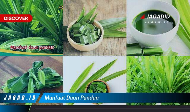 Ketahui 8 Manfaat Daun Pandan yang Bikin Kamu Penasaran