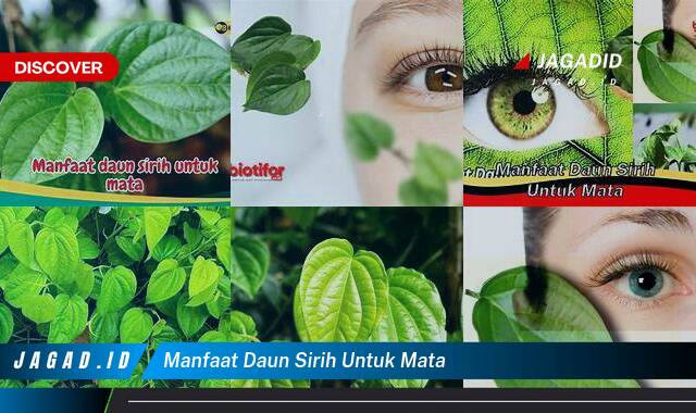 9 Manfaat Daun Sirih untuk Mata yang Tidak Semua Orang Tau