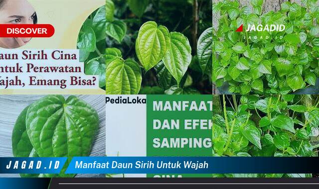 Inilah 8 Manfaat Daun Sirih untuk Wajah yang Tak Banyak Orang Tau