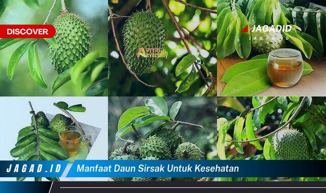 Inilah 8 Manfaat Daun Sirsak untuk Kesehatan yang Bikin Kamu Penasaran