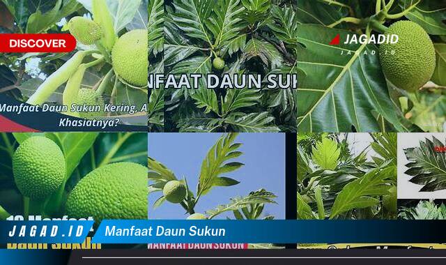 10 Manfaat Daun Sukun yang Tak Banyak Orang Tahu