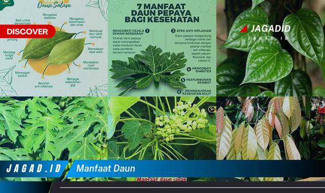 Inilah 8 Manfaat Daun yang Bikin Kamu Penasaran