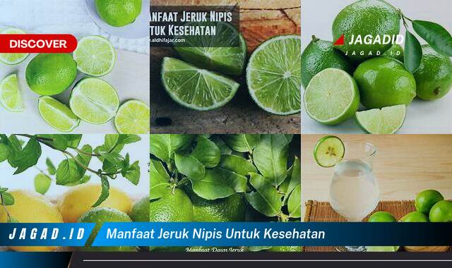 Inilah 9 Manfaat Jeruk Nipis untuk Kesehatan yang Bikin Kamu Penasaran