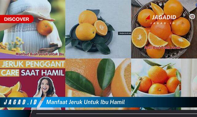 10 Manfaat Jeruk untuk Ibu Hamil yang Wajib Kamu Intip