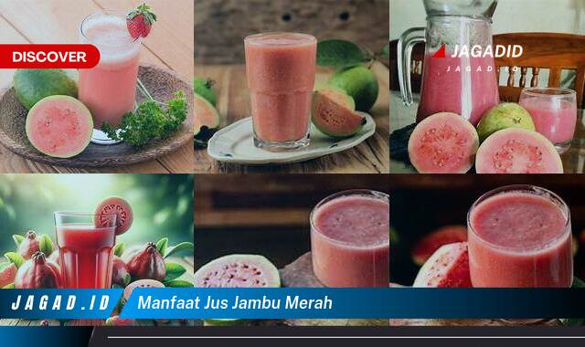 10 Manfaat Jus Jambu Merah yang Wajib Kamu Ketahui