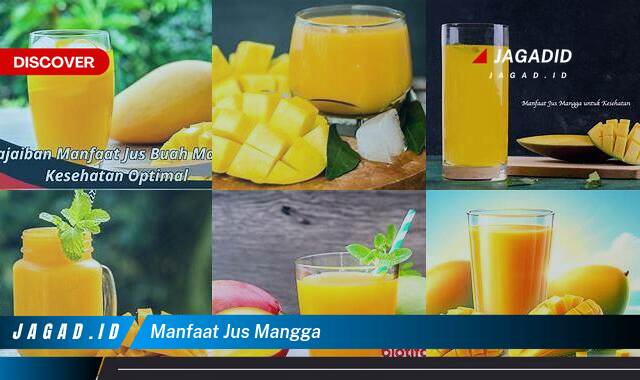 Inilah 10 Manfaat Jus Mangga yang Tak Banyak Orang Tau