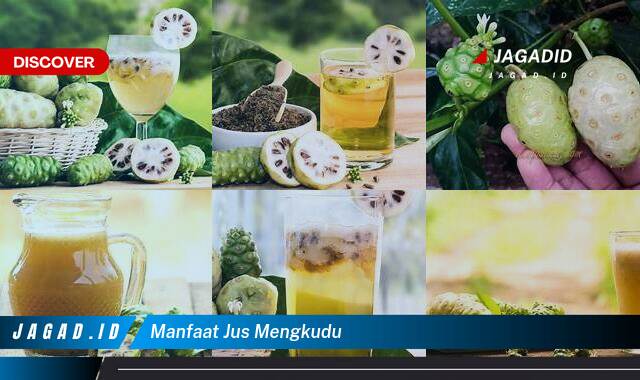 Ketahui 10 Manfaat Jus Mengkudu yang Wajib Kamu Ketahui