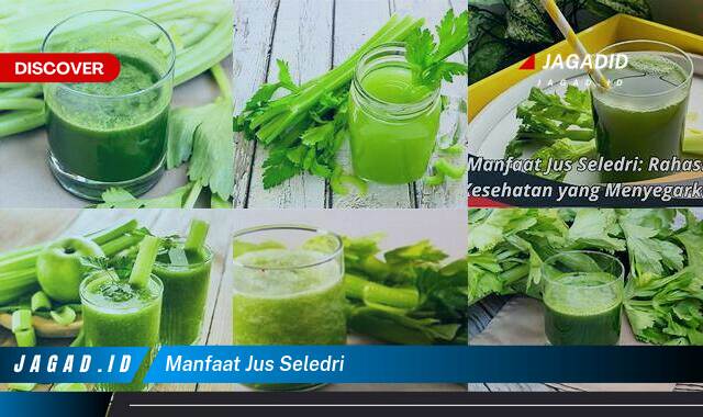 Inilah 9 Manfaat Jus Seledri yang Wajib Kamu Intip