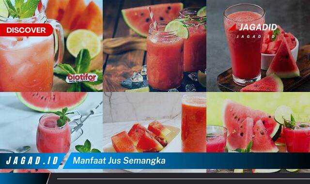 Inilah 9 Manfaat Jus Semangka yang Wajib Kamu Ketahui