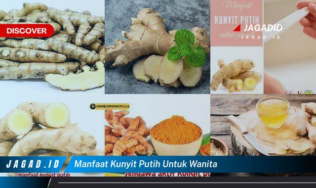 8 Manfaat Kunyit Putih untuk Wanita yang Wajib Kamu Ketahui