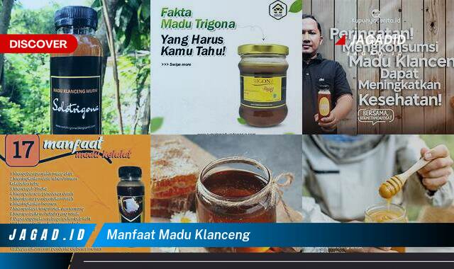 Ketahui 9 Manfaat Madu Klanceng yang Wajib Kamu Ketahui