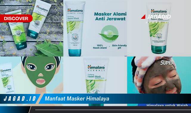 9 Manfaat Masker Himalaya yang Wajib Kamu Intip