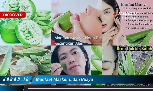 Inilah 10 Manfaat Masker Lidah Buaya yang Tak Banyak Orang Tau