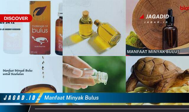 Inilah 10 Manfaat Minyak Bulus yang Tak Banyak Orang Tau